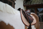 Czaprak wszechstronny Kentucky Horsewear Onion Quilt Neon Leather