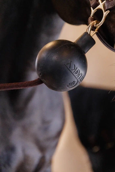 Kula ochronna do uwiązu Kentucky Horsewear