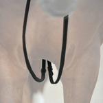 Czarna wodza Kavalkade