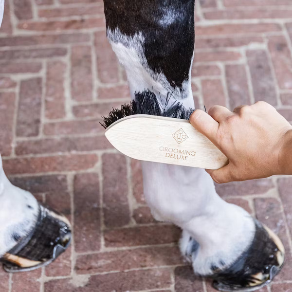 Szczotka z twardym włosiem Grooming Deluxe Short Hard
