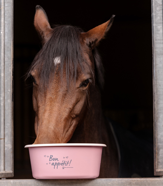 Miska z pokrywką Waldhausen Muesli Bowl