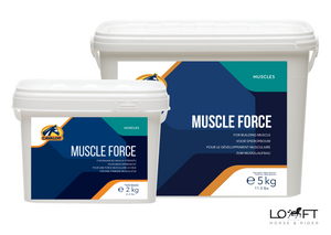 Suplement wspierający rozwój mięśni Cavalor Muscle Force