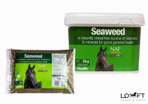 Algi morskie NAF Seaweed