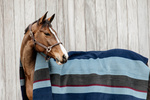 Derka polarowa Kentucky Horsewear Heavy Fleece Rug Square Stripes