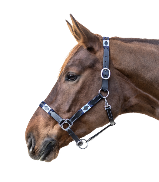 Kantar skórzany Waldhausen Polo