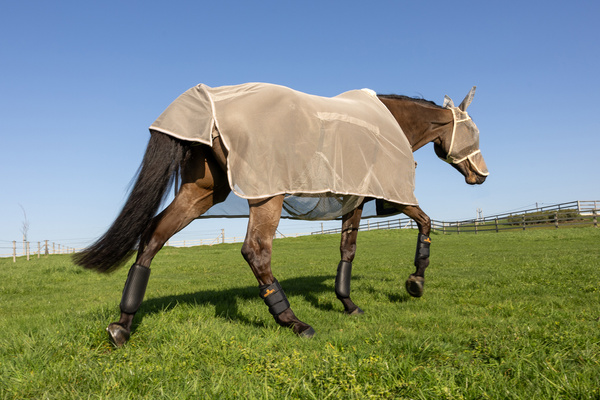 Derka siatkowa przeciw owadom z klapą na brzuch Kentucky Horsewear Fly Rug with Belly Cover Comfort