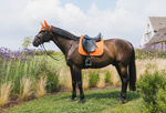 Czaprak ujeżdżeniowy Kentucky Horsewear Diamond Rope