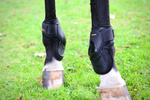 Ochraniacze tylne Kentucky Horsewear Deep Fetlock