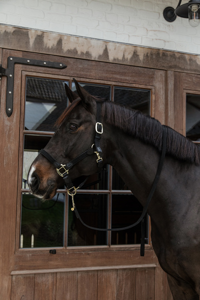 Kantar dla konia Kentucky Horsewear Plaited Nylon