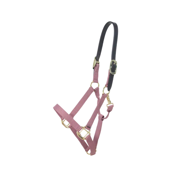 Kantar bezpieczny Kentucky Horsewear Breakaway