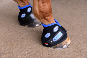 Ochraniacz magnetyczny na kopyto Veredus Magnetik Hoof Boot