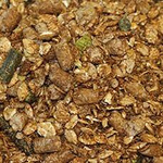 Musli dla koni w lekkim treningu SARACEN Livery Mix 20kg