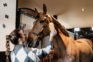 Kantar pielęgnacyjny ze skóry syntetycznej Kentucky Horsewear Leather Grooming Halter