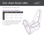 Kantar dla źrebaka QHP Collection