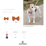 Kokarda do obroży dla psa Kentucky Dogwear Velvet