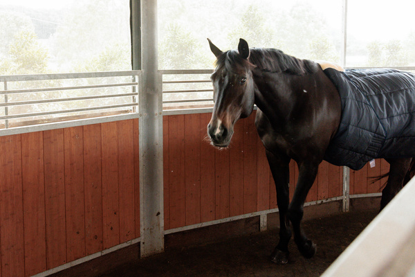 Pas do karuzeli i lonżowania Kentucky Horsewear Nylon Walker Girth