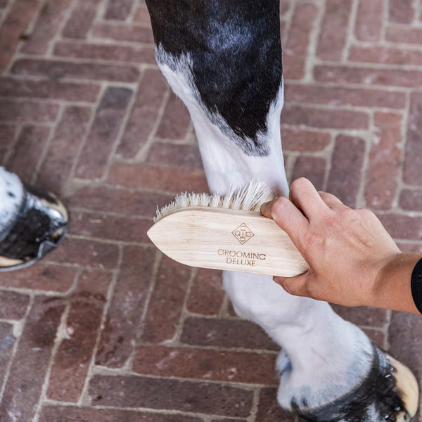 Szczotka z twardym włosiem Grooming Deluxe Short Hard