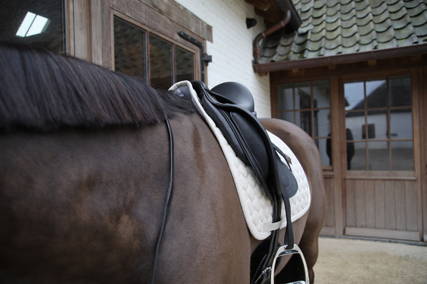 Czaprak ujeżdżeniowy Kentucky Horsewear Melange