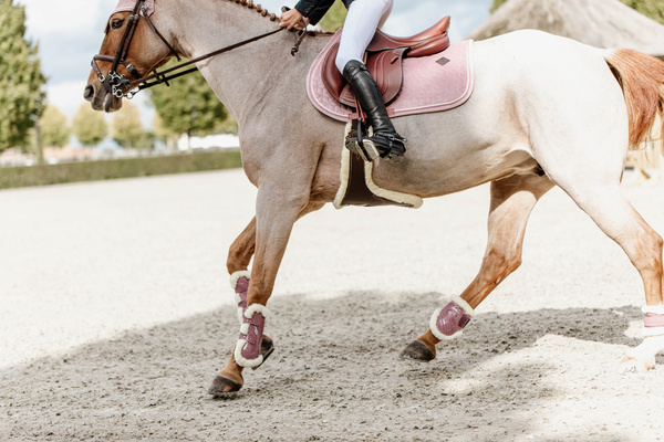 Popręg skokowy z fartuchem i futrem syntetycznym Kentucky Horsewear Sheepskin Stud Girth