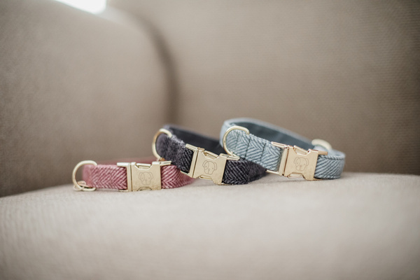 Obroża dla psa Kentucky Dogwear Wool