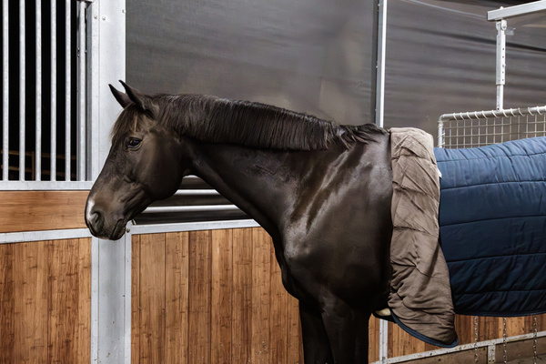 Pas do karuzeli i lonżowania z futrem syntetycznym Kentucky Horsewear Sheepskin Nylon Walker Girth