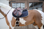 Czaprak  wszechstronny Kentucky Horsewear Softshell Onion Quilt