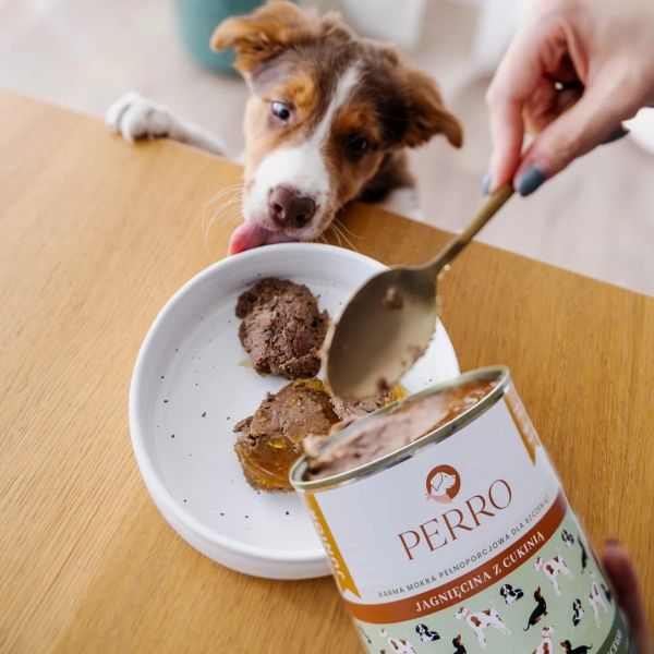Karma mokra dla szczeniąt Perro - Jagnięcina z cukinią