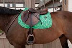Czaprak wszechstronny Kentucky Horsewear Velvet Printing