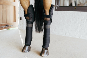 Podkładki pod owijki z ochroną stawu skokowego Kentucky Horsewear Transport Stable Bandage Pad with Hock Protection