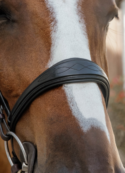 Nachrapnik anatomiczny Dy'on New English Collection NE04B