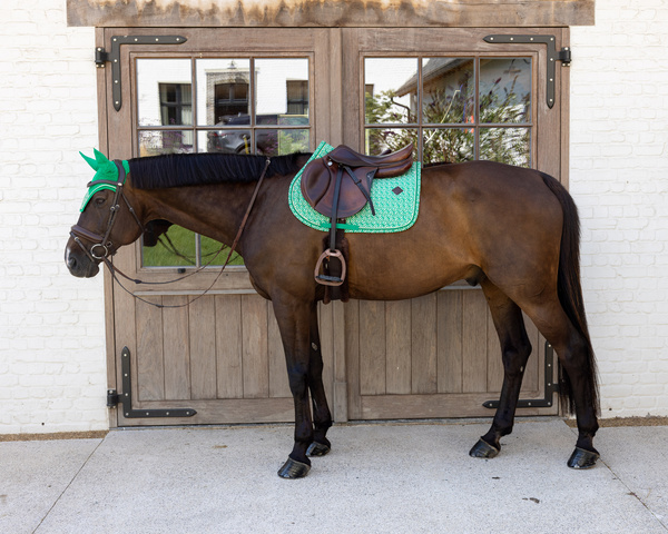 Nauszniki klasyczne Kentucky Horsewear Velvet Printing