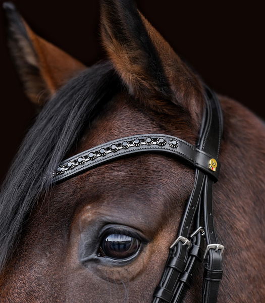 Ogłowie z nachrapnikiem szwedzkim Waldhausen S-Line Blackshine Patent