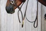 Uwiąz z łańcuszkiem pokrytym skórą syntetyczną Kentucky Horsewear Leather Covered Chain Lead
