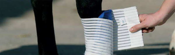 Bandaż elastyczny Stübben Kryo Kompakt