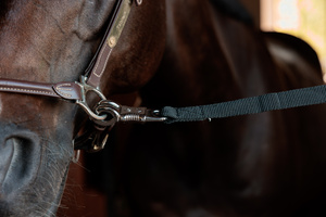 Uwiąz stajenny Kentucky Horsewear Box Lead & Cross Ties Safety