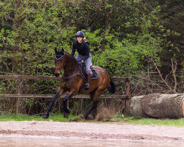 Czaprak wszechstronny QHP Eldorado