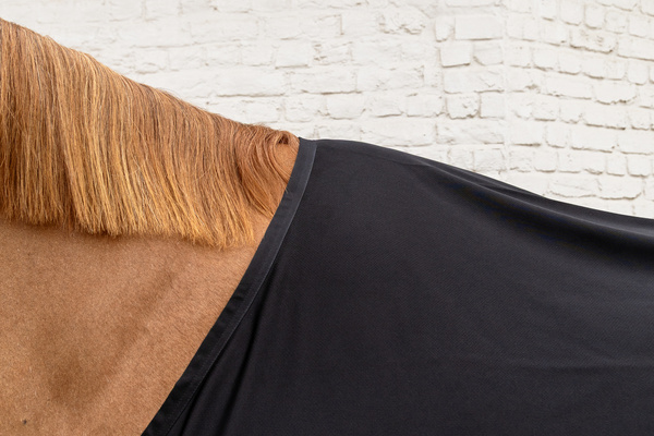 Lekka derka letnia dla koni golonych Kentucky Horsewear Summer Sheet Light