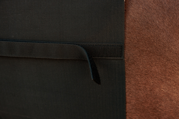 Pas ochronny na brzuch Kentucky Horsewear Belly Band