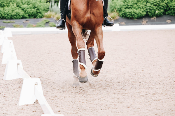 Ochraniacze ujeżdżeniowe z futrem Kentucky Horsewear Turnout Boots Leather - przody