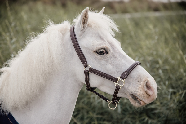 Kantar dla kucyka Kentucky Horsewear Leather Sheepskin