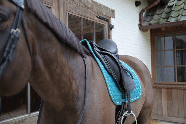 Czaprak ujeżdżeniowy Kentucky Horsewear Melange