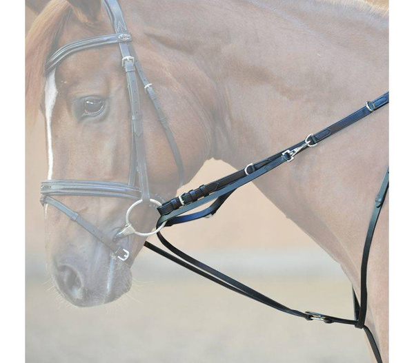 Wodze Thiedemanna Kavalkade