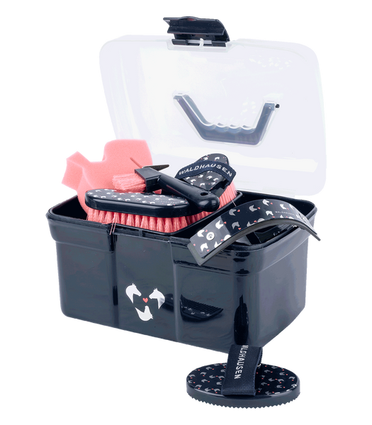 Skrzynka z zestawem szczotek Waldhausen Lucky