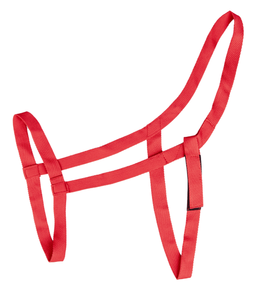 Kantar padokowy Waldhausen Grazing