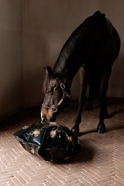 Torba na siano do boksu i na padok Grooming Deluxe Play & Haybag Slow Feeder Round