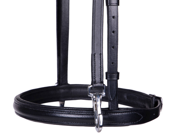 Ogłowie pokazowe QHP Vesta