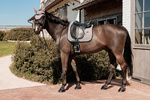 Czaprak ujeżdżeniowy Kentucky Horsewear Pied De Poule
