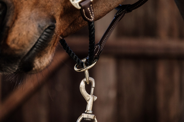 Kantar z nachrapnikiem sznurkowym Kentucky Horsewear Leather Rope