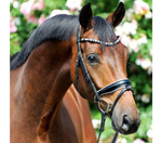 Naczółek opadający Kavalkade Diamond