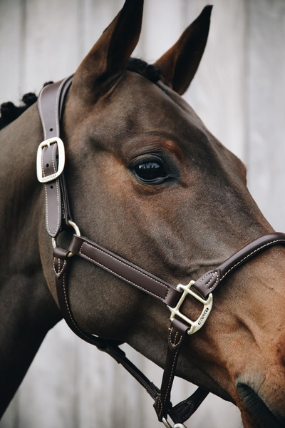 Kantar anatomiczny Kentucky Horsewear Anatomic Leather Halter